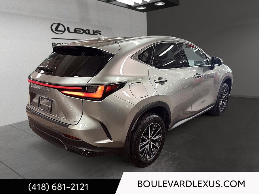 Lexus NX 2024 2024 Argent