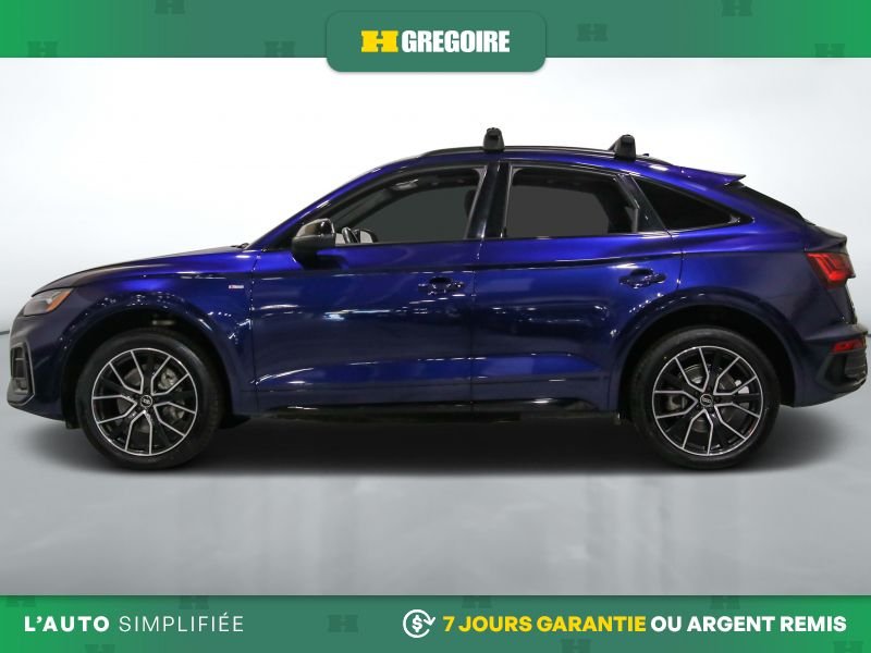 2023 Audi Q5 2023 Blue