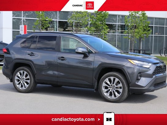 Toyota Rav 4 2024 2024 Gris