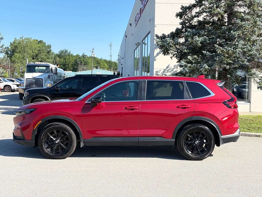 Honda CR-V 2025 2025 Rouge