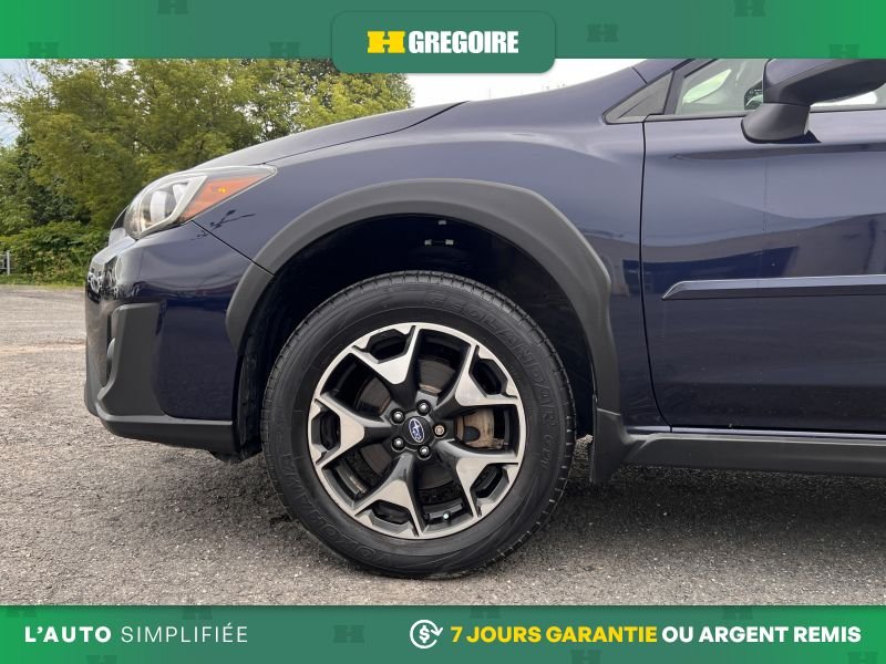 2019 Subaru Crosstrek Blue Laval - photo #30
