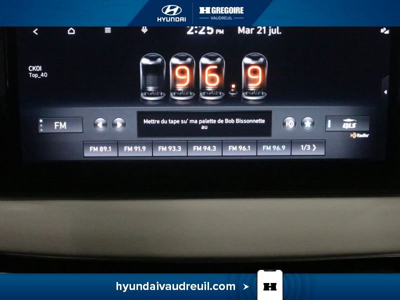 Hyundai Palisade 2023 Blanc Laval - photo #30