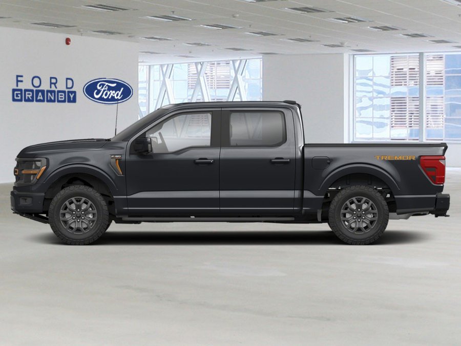 Ford F-150 Tremor cabine SuperCrew 4RM caisse de 5,5 pi 2026 Noir agate métallisé