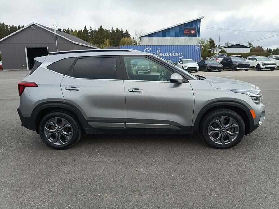 Kia Seltos 2024 2024 Gris