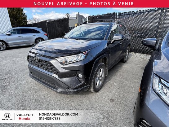 2020 Toyota RAV4 2020 Grey