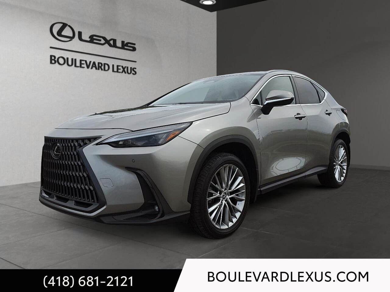 Lexus NX 601167 2024 Argent Québec - photo #0