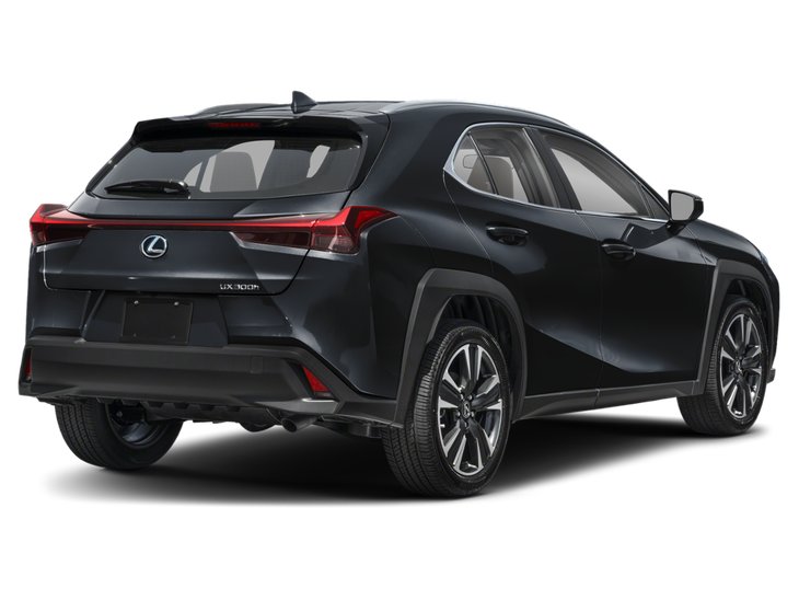 2025 Lexus UX UX 300h
