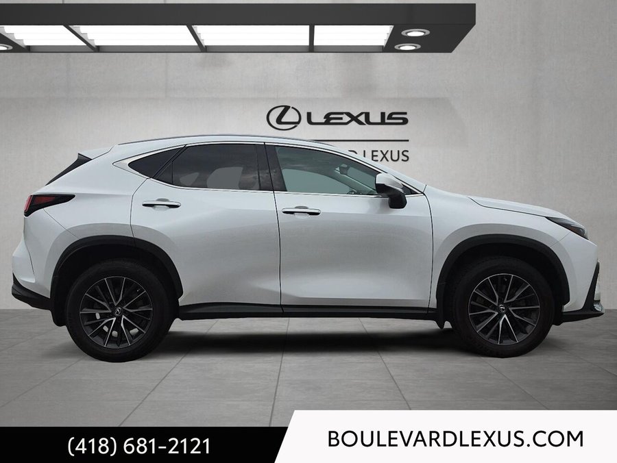 2022 Lexus NX 2022 White