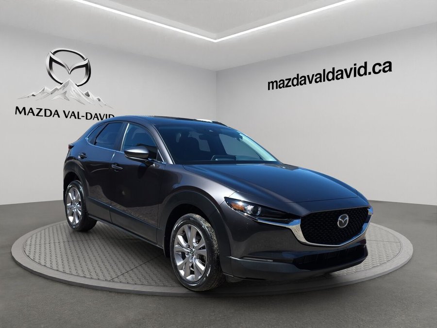 Mazda CX-30 GS TI BA, bluetooth, Volant chauffant, Paddle shift 2020 Gris
