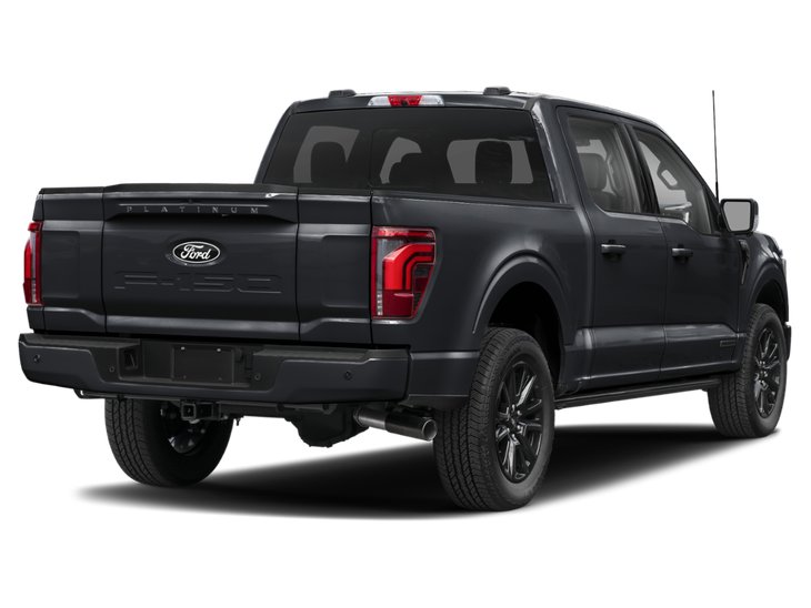 2025 Ford F-150 Platine