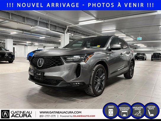 2024 Acura RDX 2024 Grey