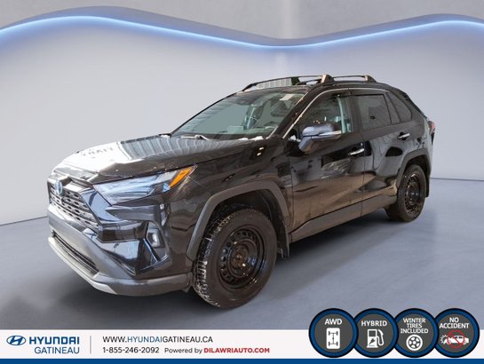 Toyota RAV4 2022 2022 Gris