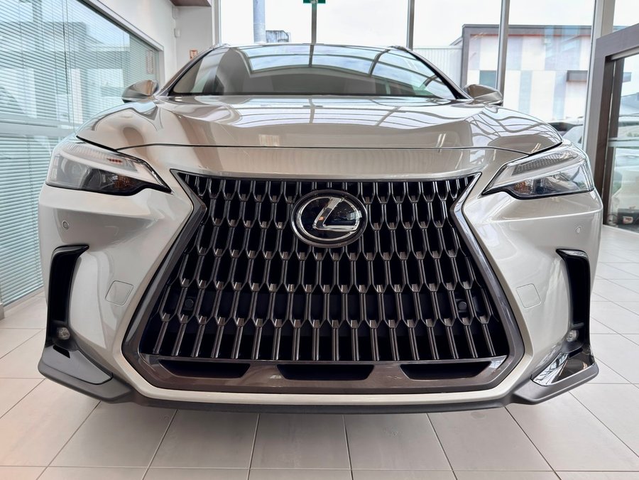 Lexus NX 2022 2022 Gris