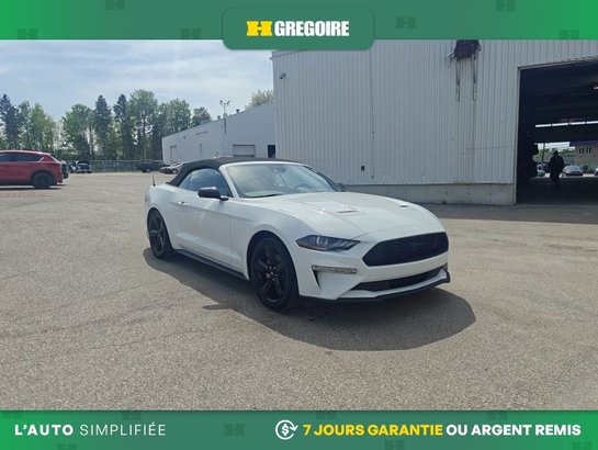 2021 Ford Mustang 2021 White