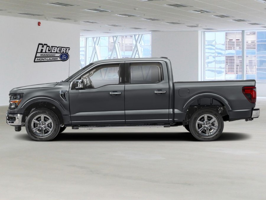 Ford F-150 2025 2025 Gris carbonisé métallisé