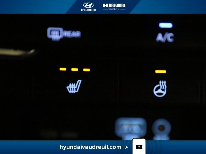 Hyundai Santa Fe 2019 Noir Laval - photo #28