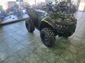 2021 Argo Xplorer 500 Green  - photo #6
