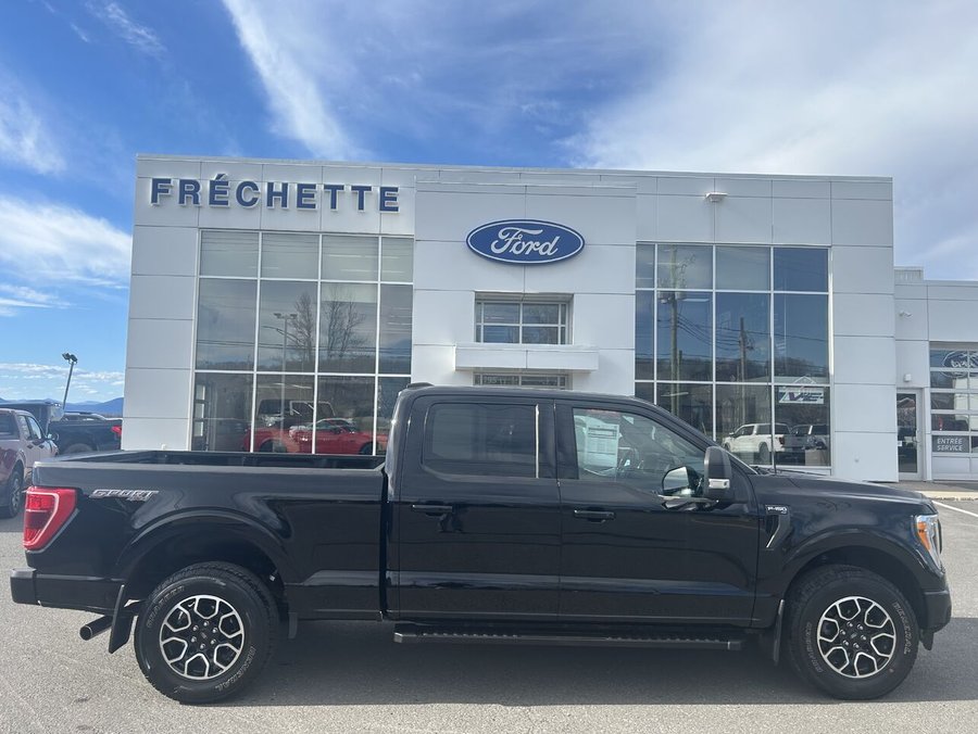 Ford F150 XLT 5.0L 2021 2021 Noir