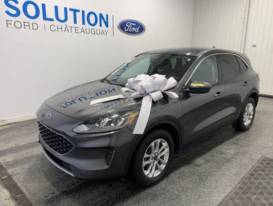 Ford Escape 2020 2020 Gris