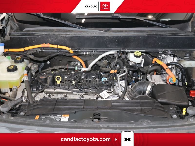 Ford Maverick TA04241 | XLT 2022 Vert Laval - photo #35