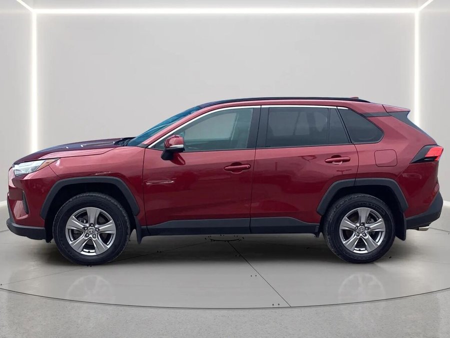 TOYOTA RAV4 XLE AWD 2024 2024 Rouge rubis nacré