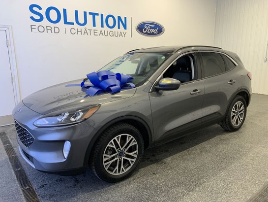 2022 Ford Escape SEL AWD ESCAPE SEL AWD Grey