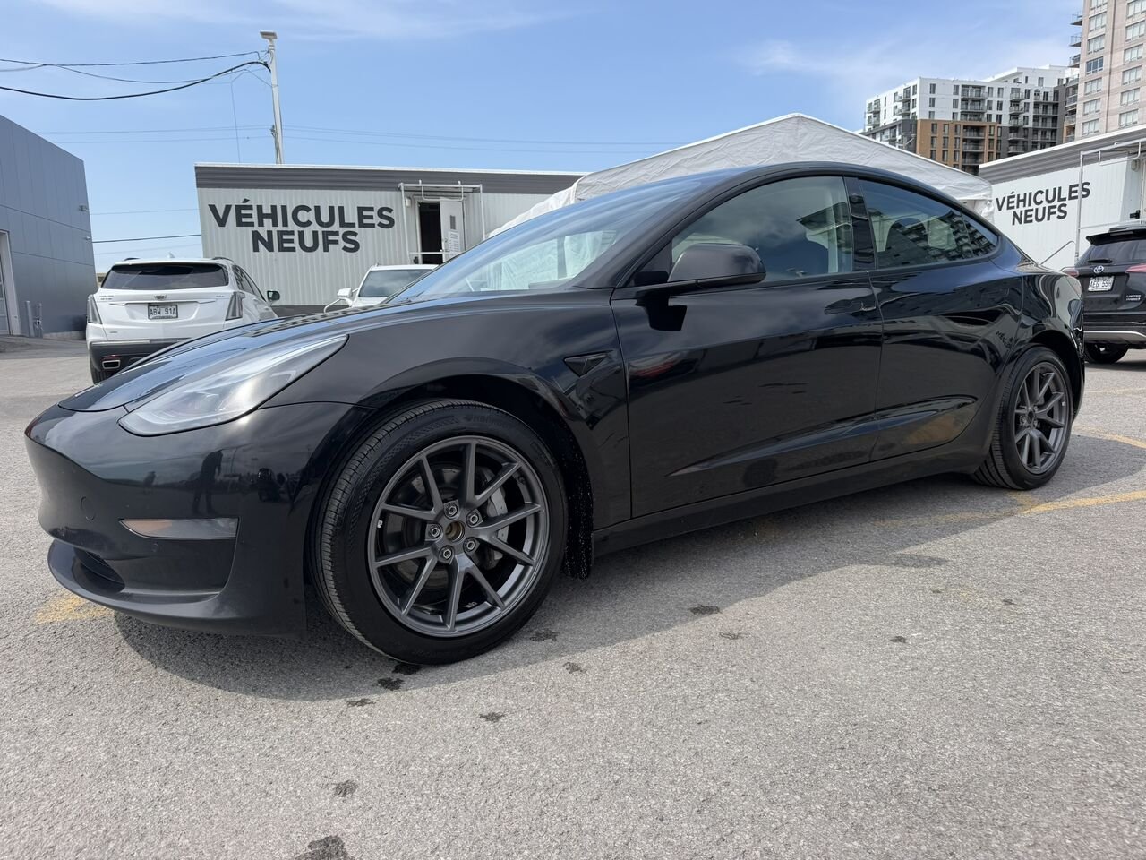 Tesla Model 3 STANDARD RANGE PLUS 2021 Noir Laval - photo #0