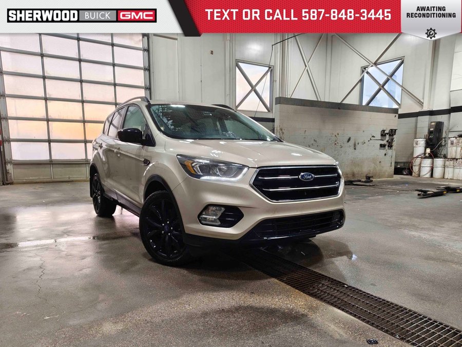 2017 Ford Escape 2017 White Gold Metallic