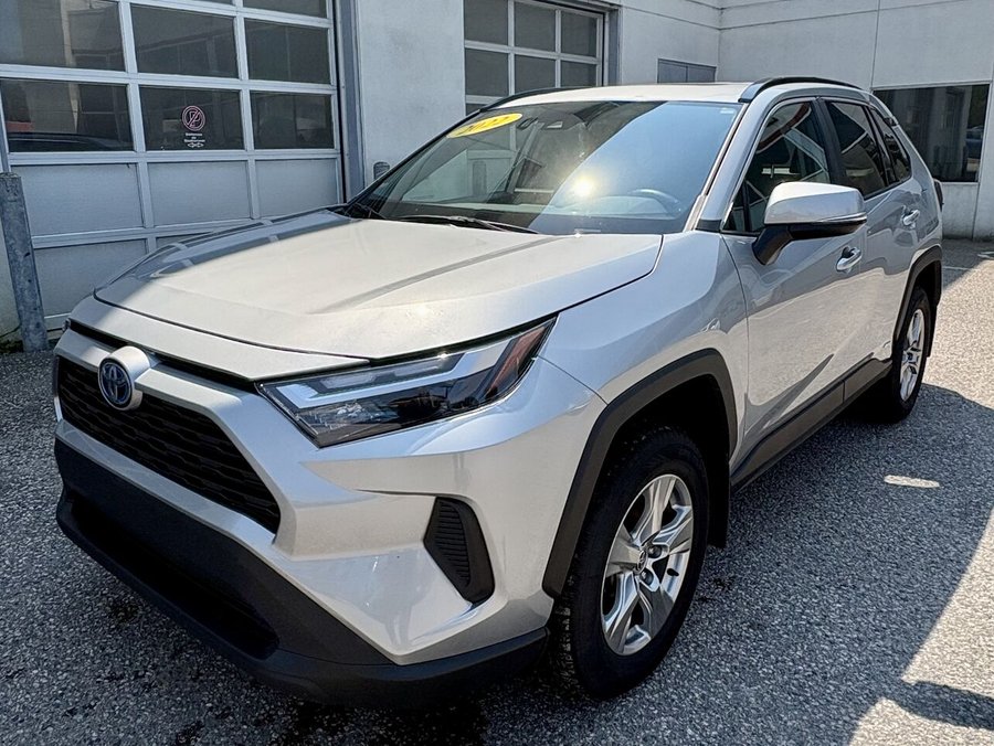 Toyota RAV4 2022 2022 Gris