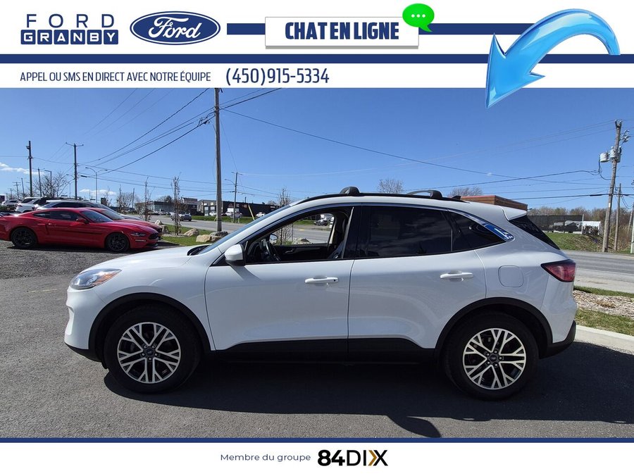 Ford Escape SEL TI 2020 Blanc