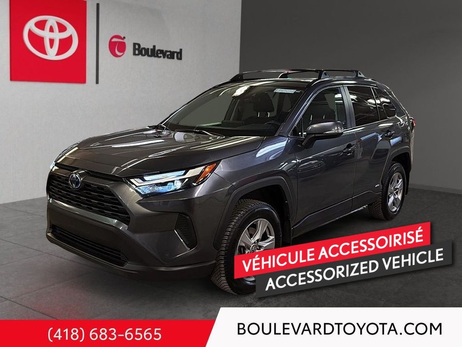 Toyota RAV4 2023 2023 Gris