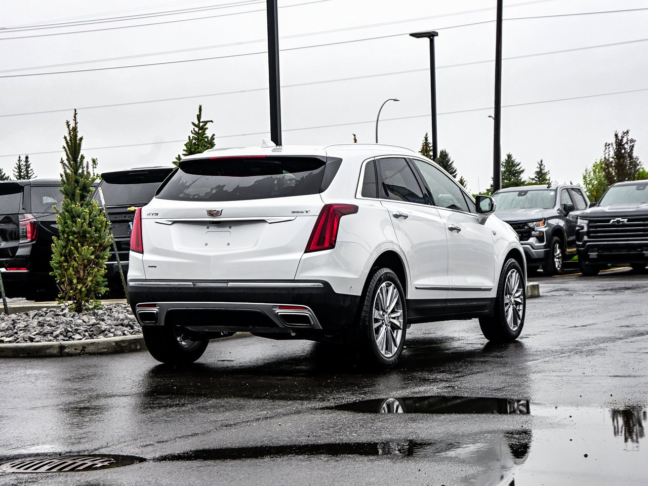 2024 Cadillac XT5 AWD 4dr Premium Luxury White Sherwood Park - photo #13