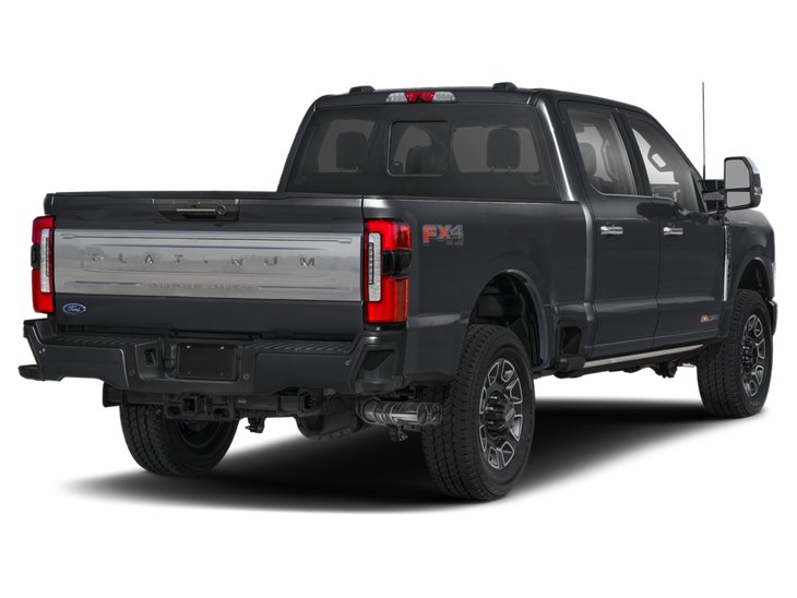 2025 Ford Super Duty F-250 SRW Platine