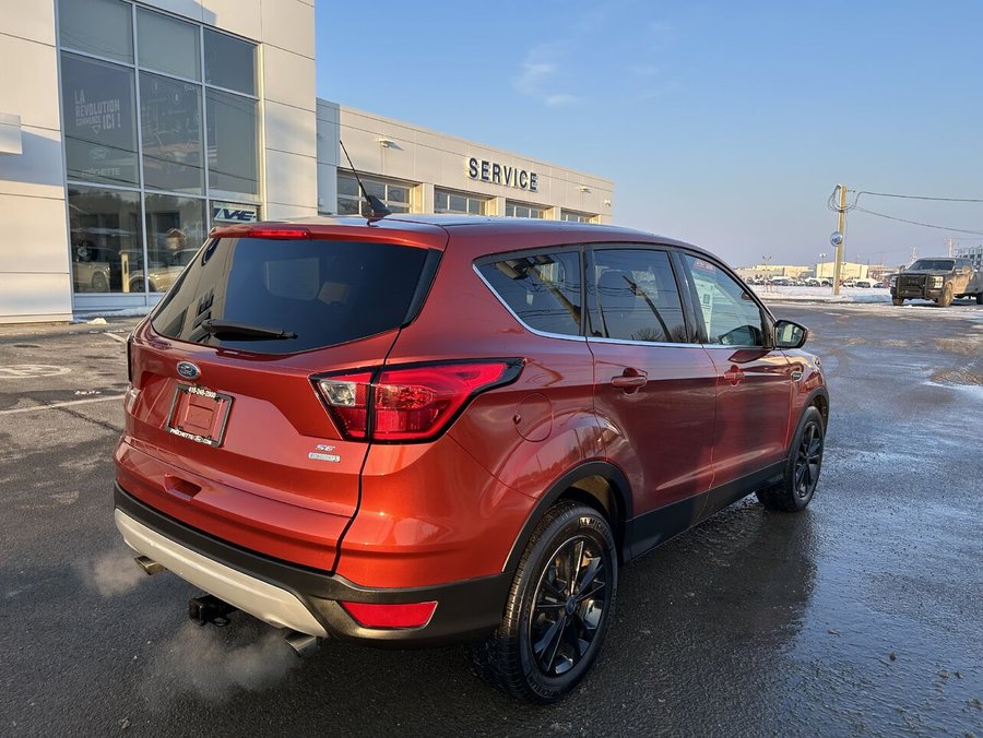 Ford ESCAPE 2019 2019 Rouge