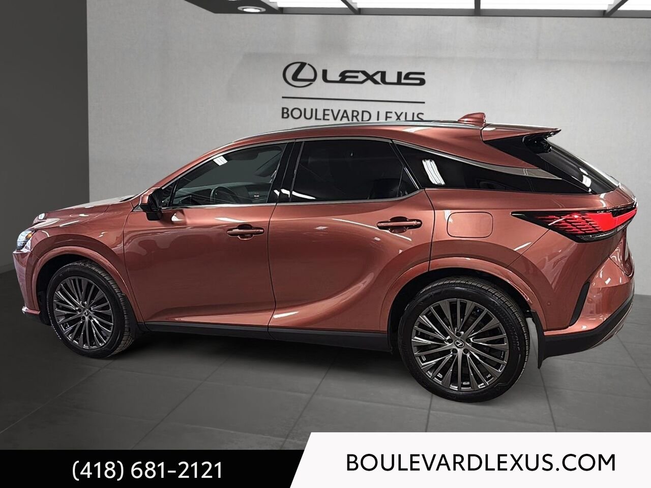 Lexus RX 19503A 2024 Bronze Québec - photo #5