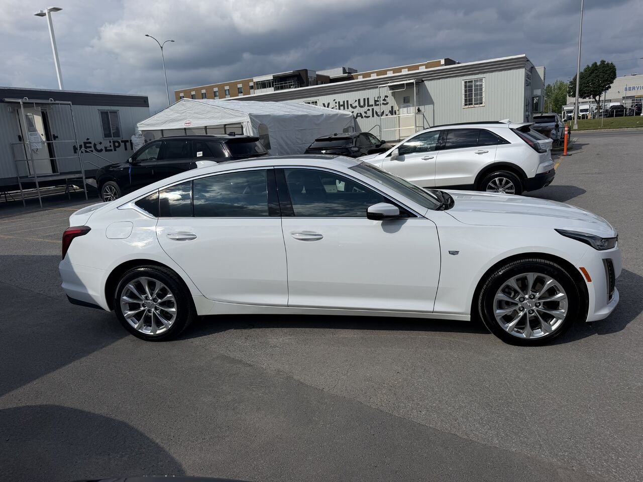 Cadillac CT5 PREMIUM LUXURY AWD 2020 Blanc Laval - photo #9