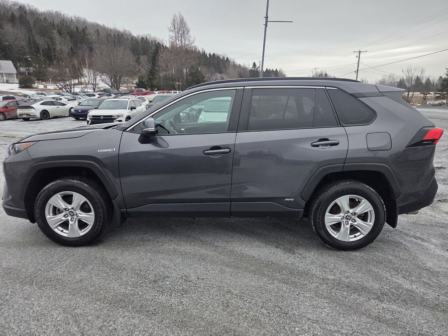 Toyota RAV4 2021 2021 Gris