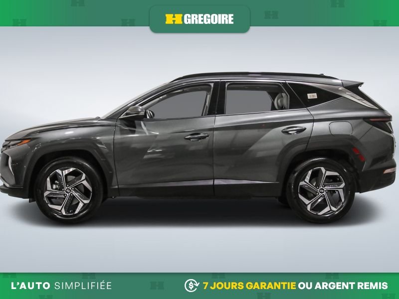 Hyundai Tucson 2023 2023 Vert