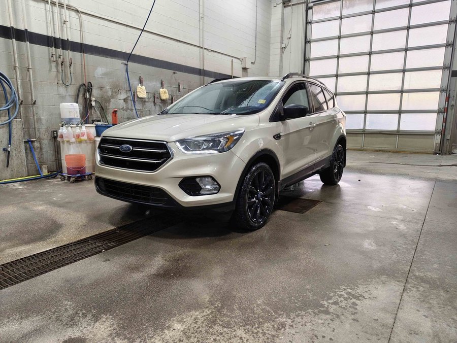 2017 Ford Escape 2017 White Gold Metallic
