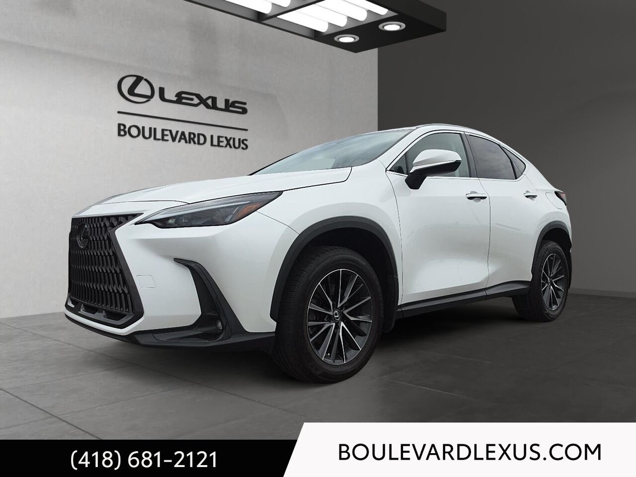 2022 Lexus NX White Quebec - photo #0