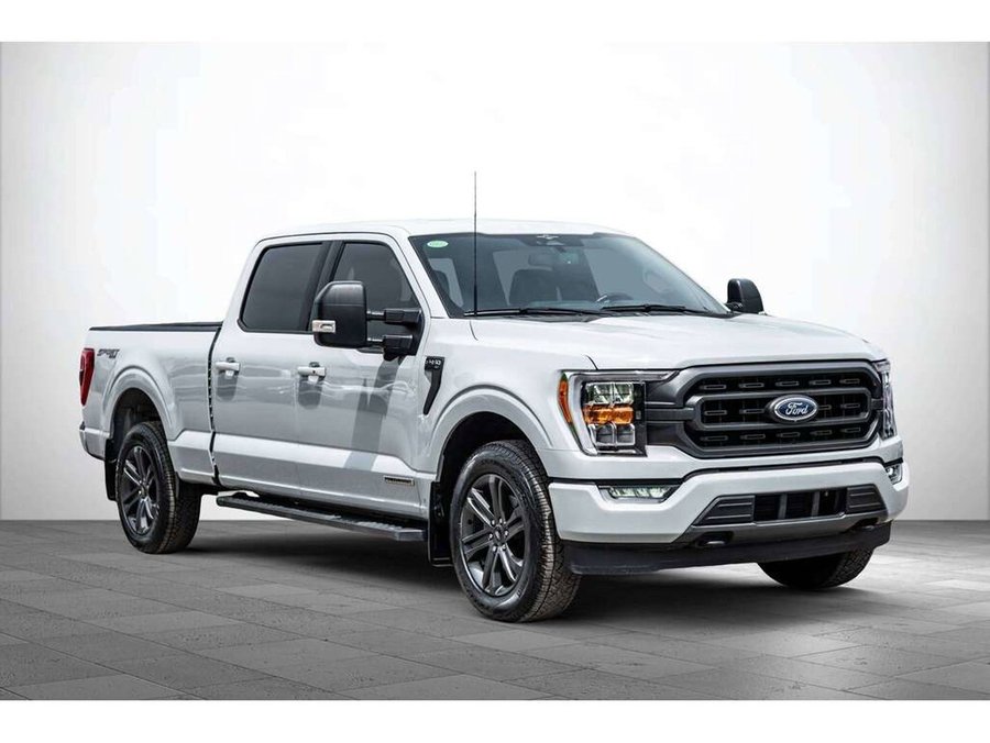 Ford F-150 2023 2023 gray