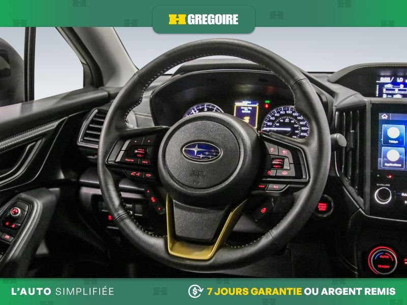 Subaru Crosstrek 2023 Gris Laval - photo #17