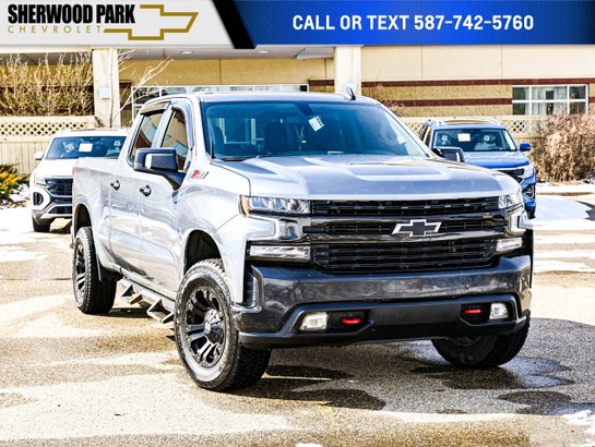 2021 Chevrolet Silverado 1500 2021 Grey