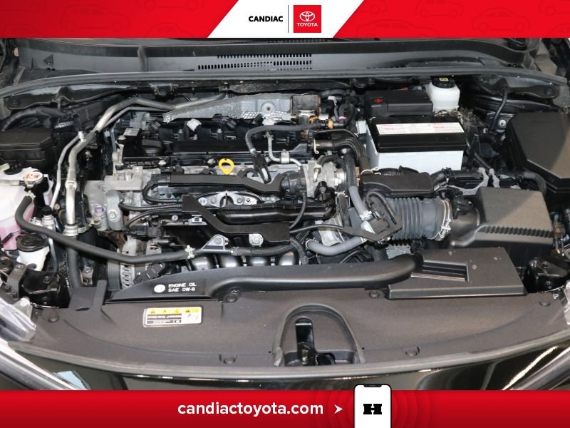 2023 Toyota Corolla Black Laval - photo #36