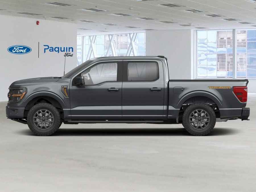 Ford F-150 2026 2026 Gris carbonisé métallisé