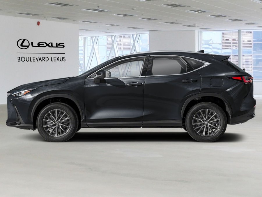 Lexus NX 2024 2024 Noir