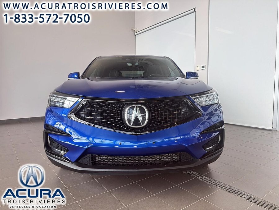 Acura RDX 2019 2019 Bleu