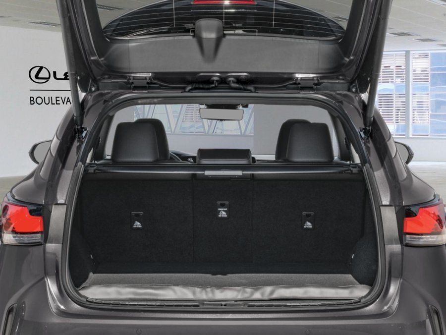 LEXUS RX 2026 2026 Gris orage