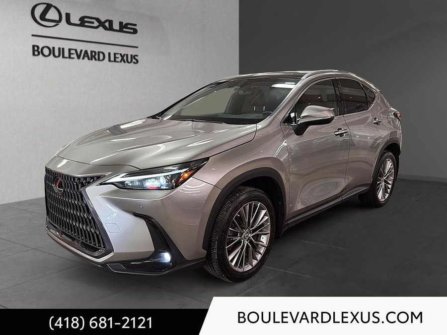 Lexus NX 2022 2022 Argent