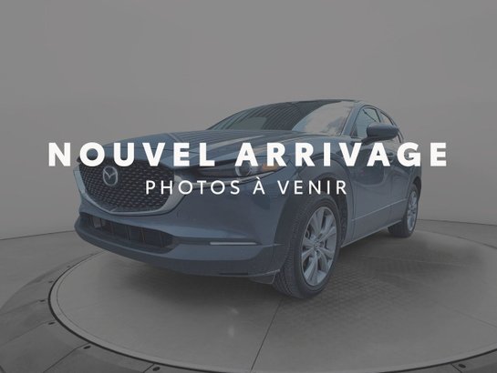 Mazda CX-30 2023 2023 Gris